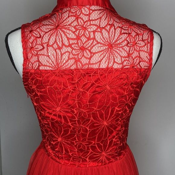 Say What? Dress Red Sleeveless Lace Stain Chiffon Fit and Flair Holiday Dress - Picture 9 of 16